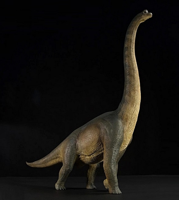 NANMU-BRACHIOSAURUS-1-A-FOTOR.jpg