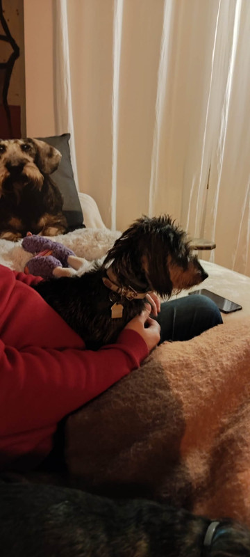 [Image: IMG-20241110-WA0017.jpg]