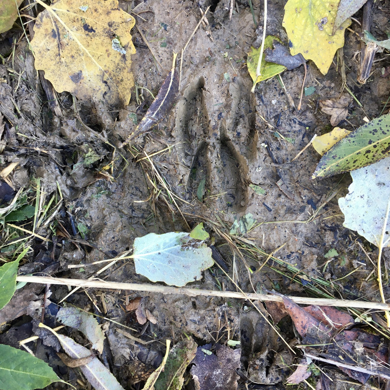 3844B96A-DD3D-4907-A9C2-CDECAE240C34