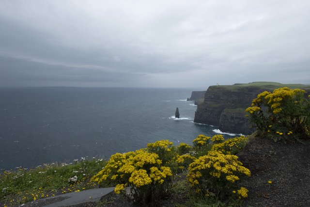 10 días por Irlanda en verano de 2024 - Blogs de Irlanda - DÍA 7 – Parque Nacional El Burren – Lisdoonvarna – Acantilados Moher (18)