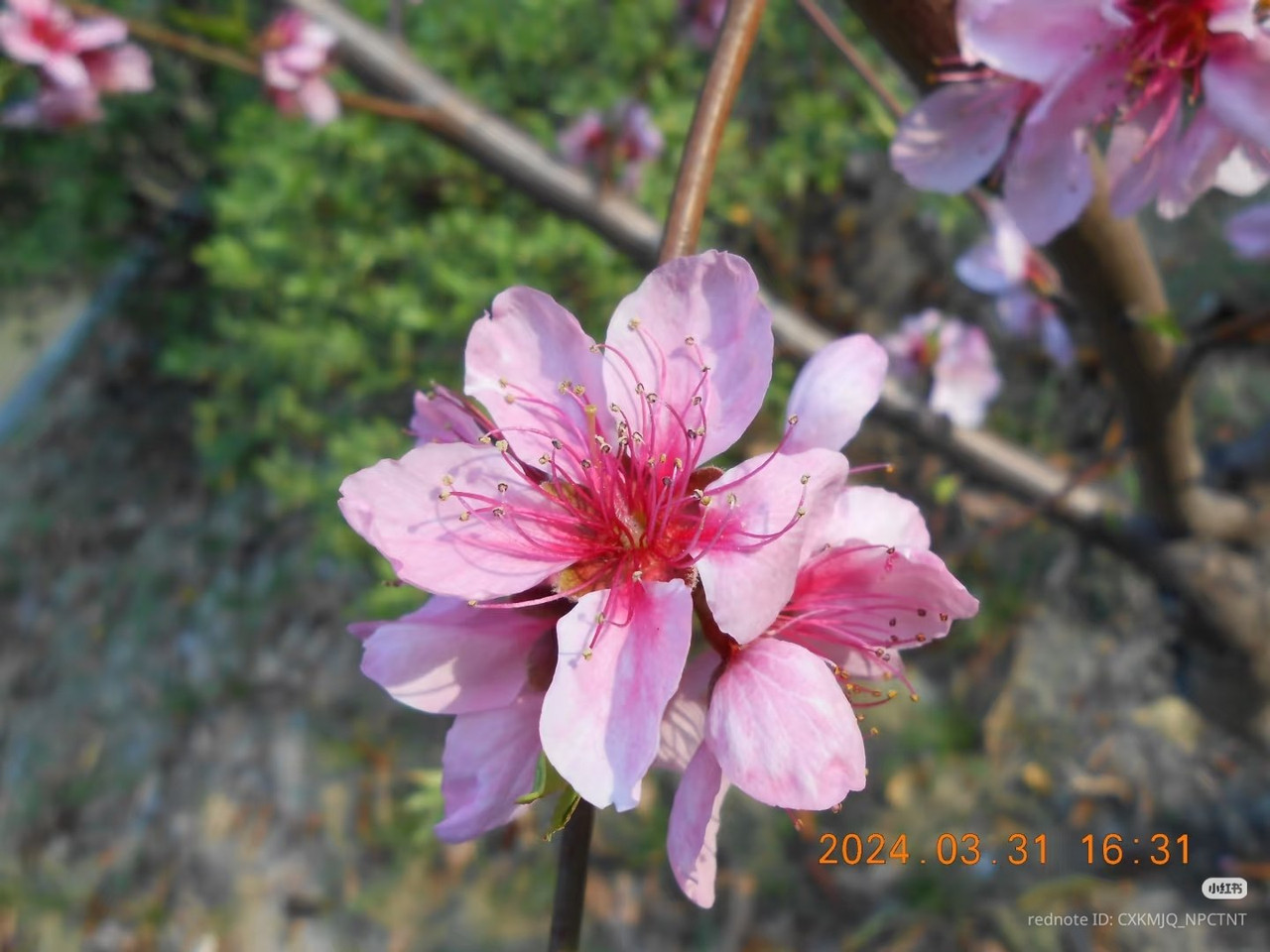 photo 42 2026 05 28 20 29 01