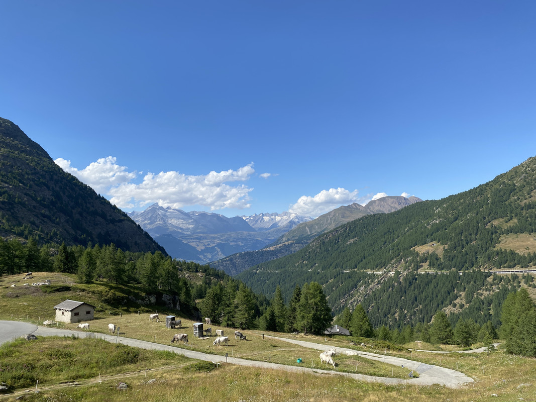 8B7160D1-FB74-427F-BFC3-625AB3C70EB5