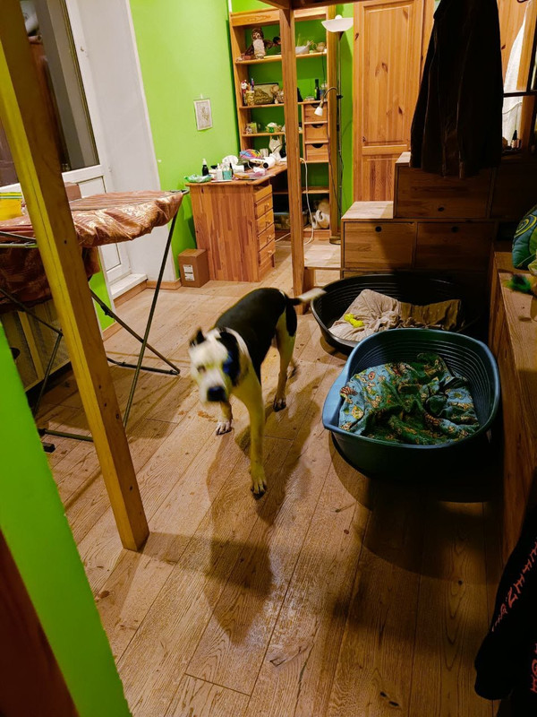 395DAF49-B0D2-4AE7-BA75-4BC1022D94ED