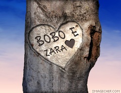 albero Bobo e Zara