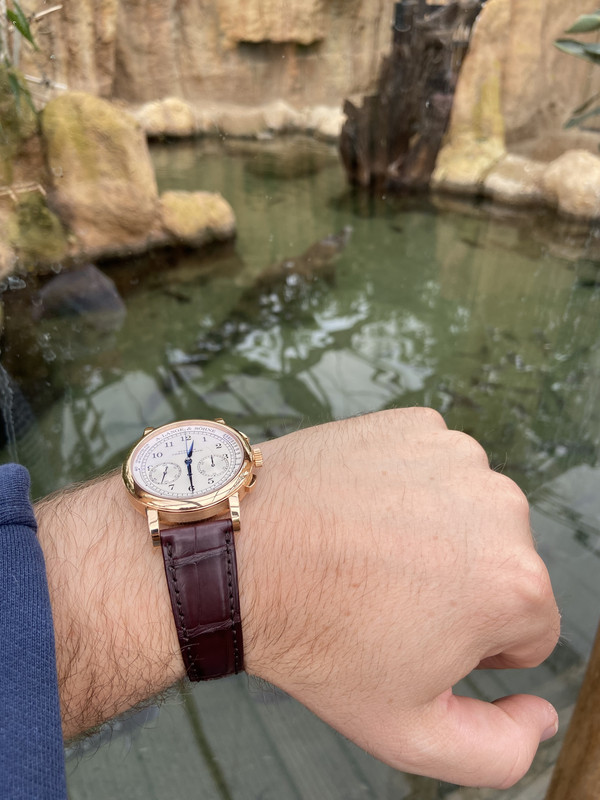 F7BD4780-4CA3-46A6-8C89-0413F7CE2BFC