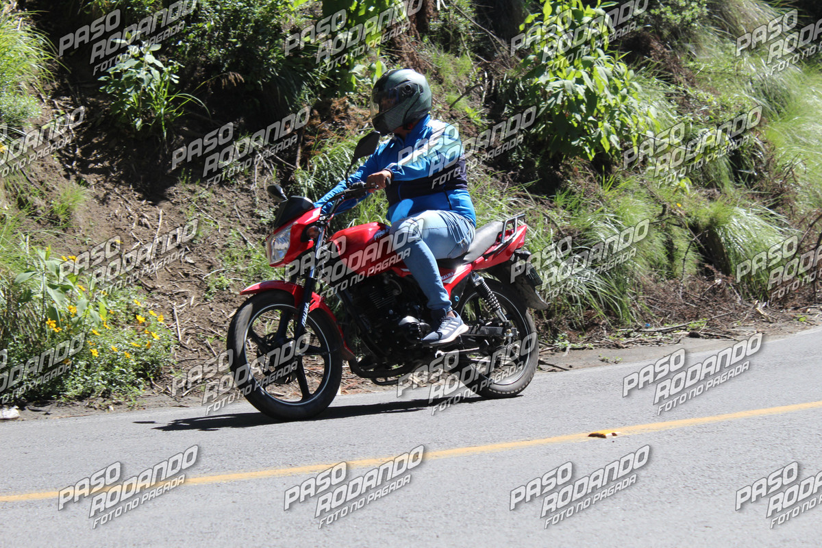IMG_4124-wm-2375547.5_watermarked