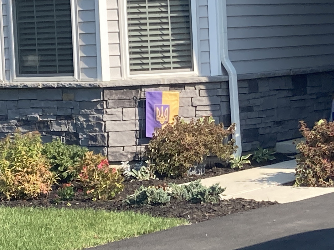 2FC39C98-0208-4557-8506-F89EE1CE5278