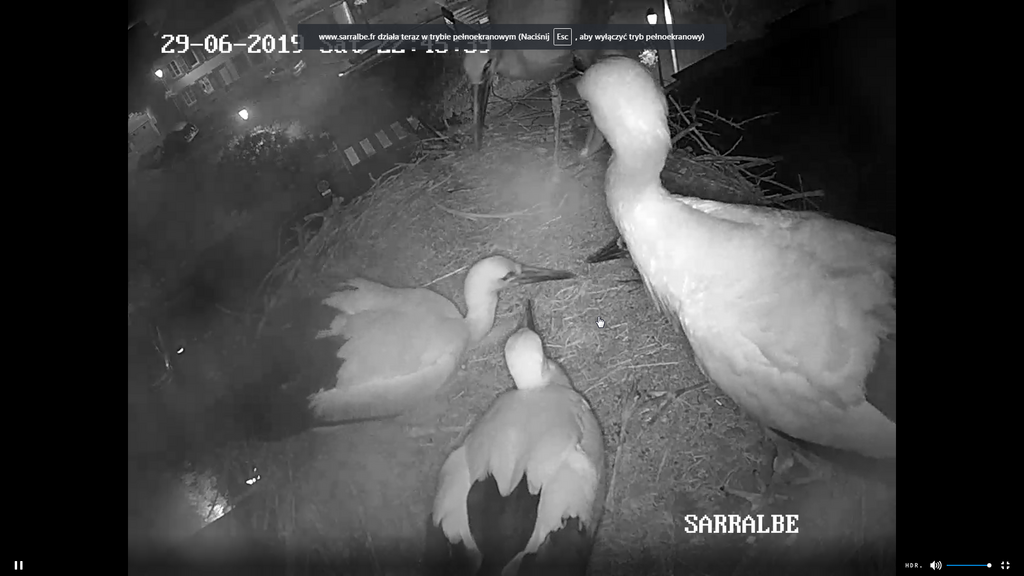 2019-06-29 22_45_02-Greenshot