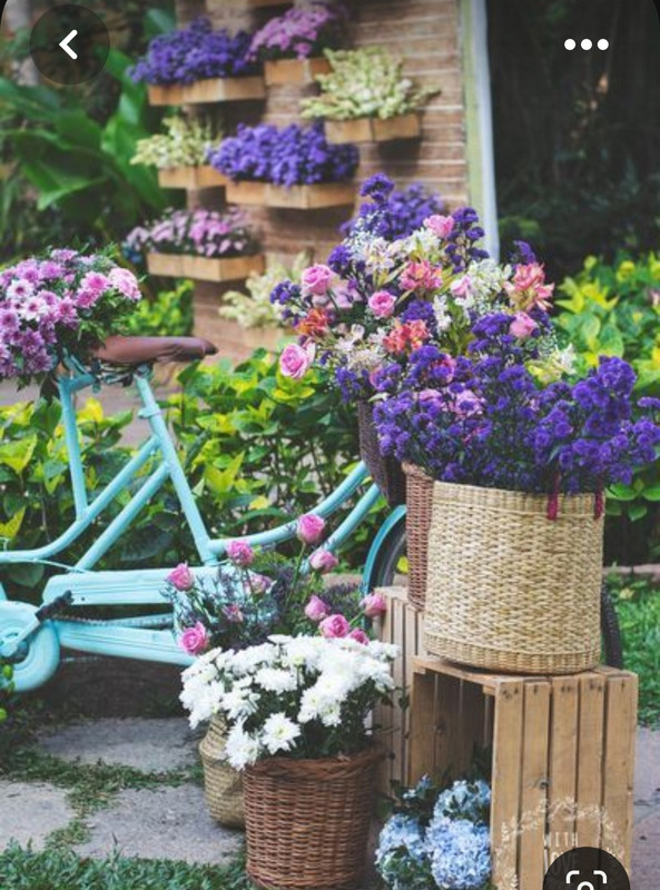 Screenshot_20230614_015818_Pinterest