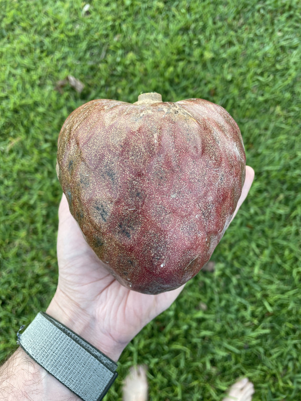 6E08D2B5-675D-4667-BF9A-1CAF460B1A26