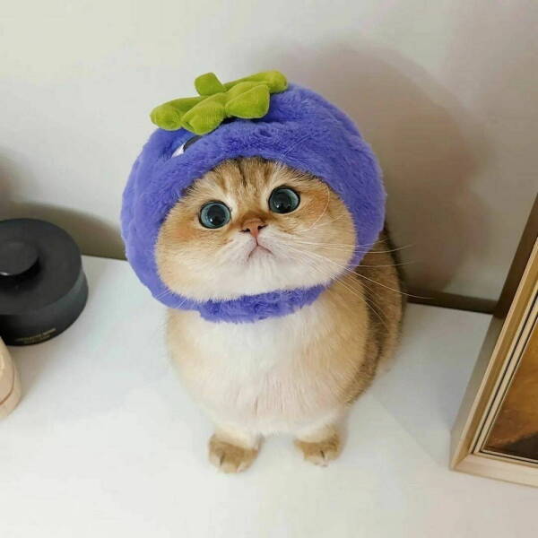 morning-picdump-8-2.jpg