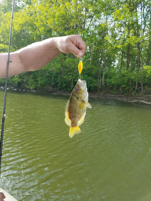 20180528_174748(0)