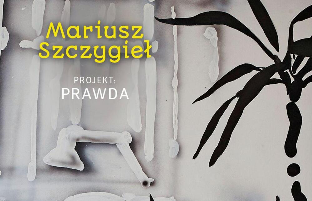 1037bf5b_c7c3_433a_b3e4_9aeb31d77b52_f1400x900