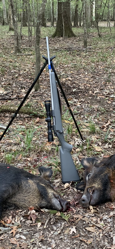 30D9D6FC-FD3B-48F2-BA06-794D4081CC74