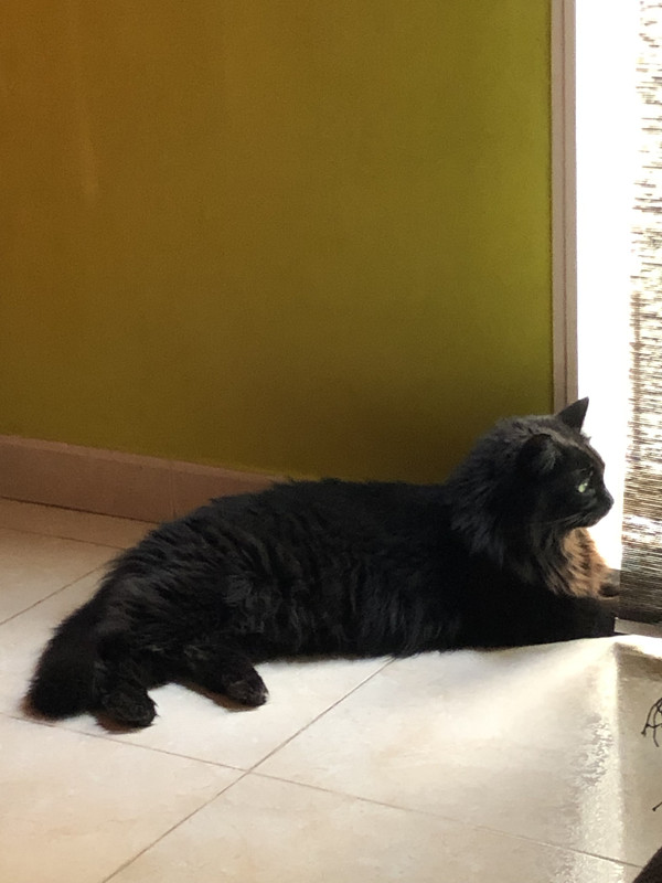 D5756B08-6A50-4F63-96F3-74011A55F527