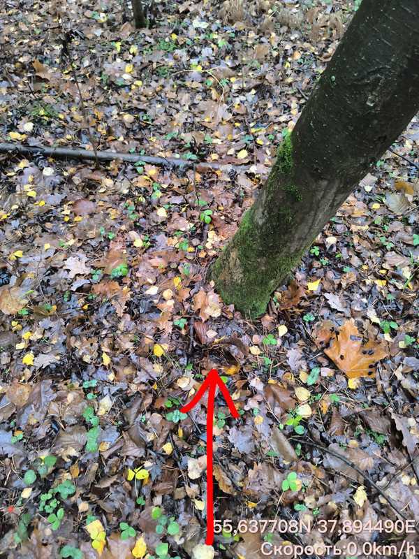 Time Photo 20251030 084232