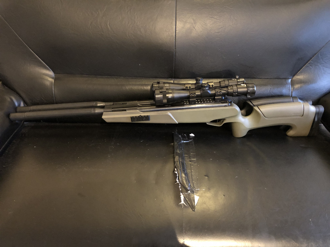 Stoeger1