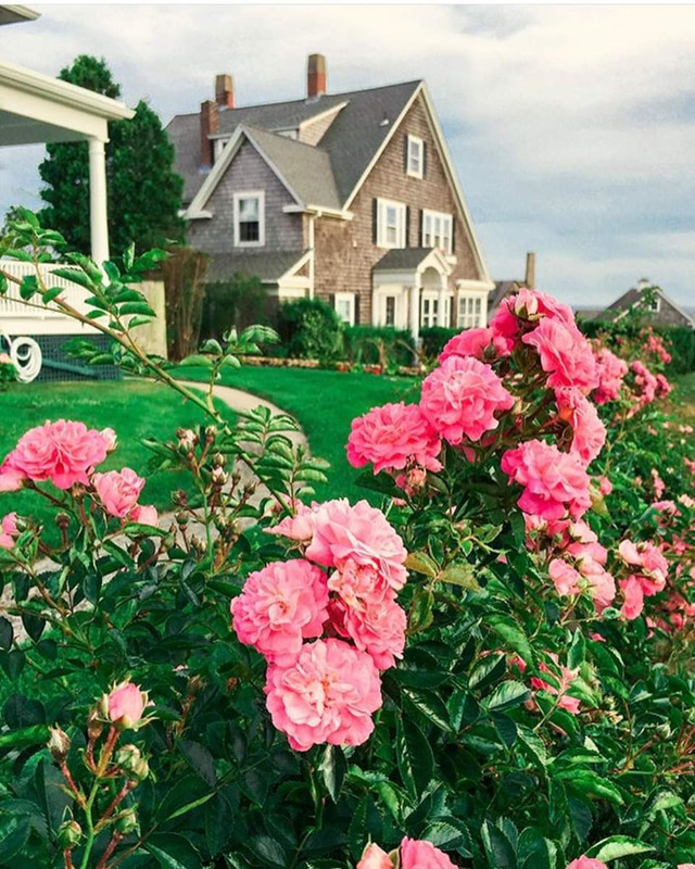 ���� ���� ������ �� ���� ������