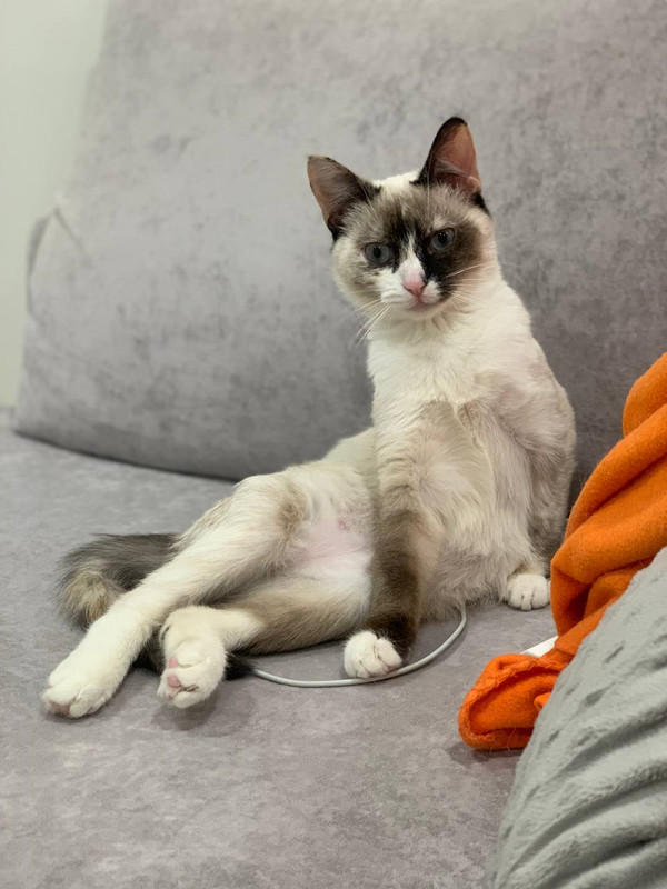 40A3E6A0-FEDE-4944-BD37-B28B1F52A446