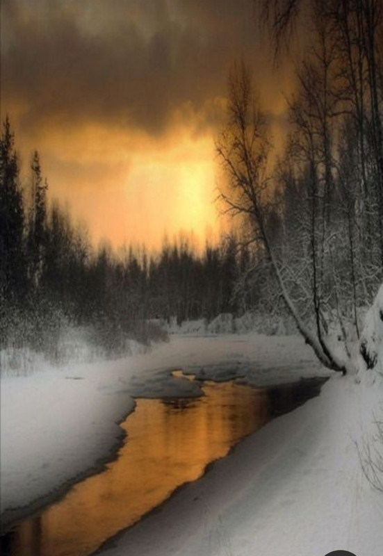 Screenshot_20230831_230632_Pinterest