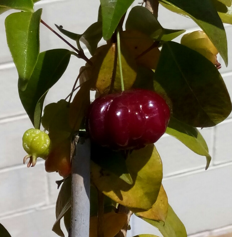 IMG_20210409_070920_111