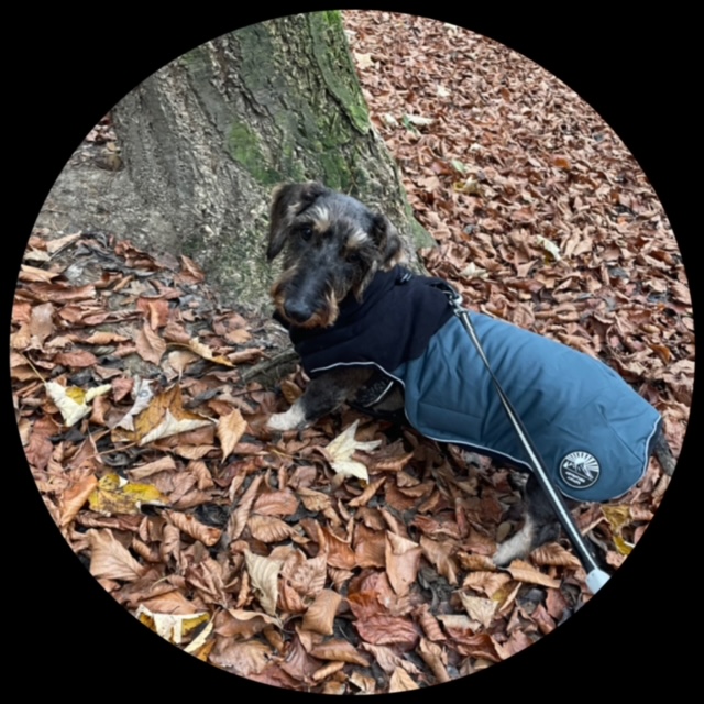 [Image: 922-D39-F7-EF1-B-424-E-90-C9-250629-D21790.jpg]