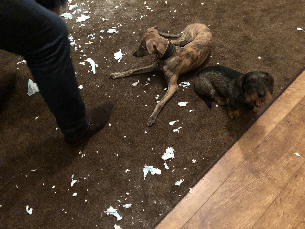 C8C77DBC-47BE-488E-A87D-328D4D0E7FF5