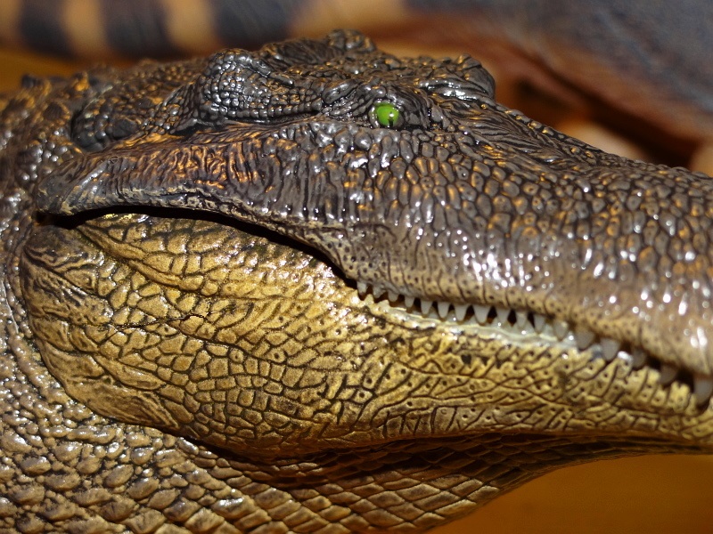 REBOR-deinosuchus #161007 - Huge mouth
