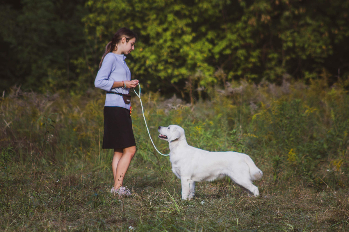 FCA6482E-F1C5-4FC0-A8B4-25E1B128DDDA