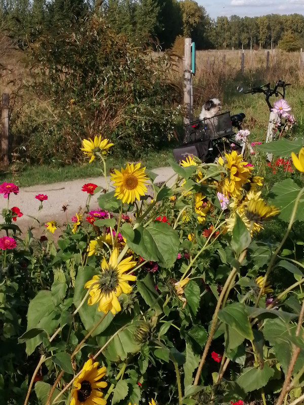 IMG-20250928-163543