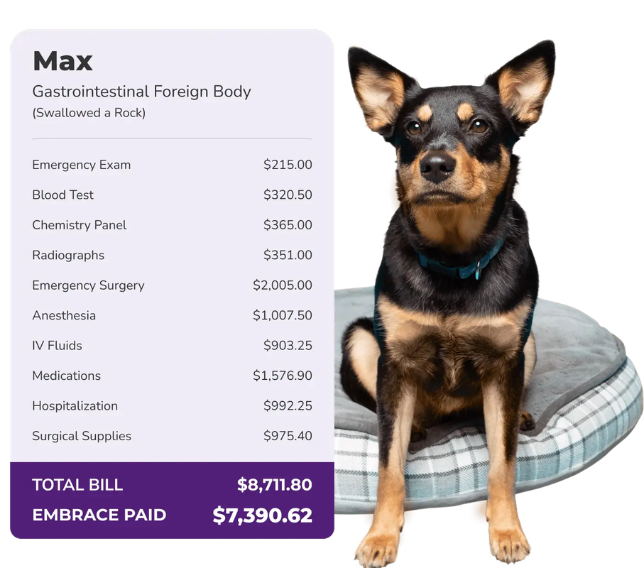 Max's veterinary bill breakdown showing total bill of $8,711.80 with PetCareCoverage paying $7,390.62