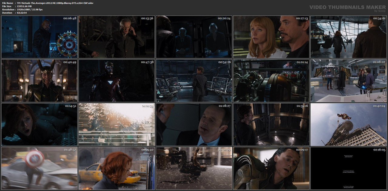 TM-Vietsub-The-Avenger-2012-Vi-E-1080p-Bluray-DTS-x264-Eb-P-mkv.jpg