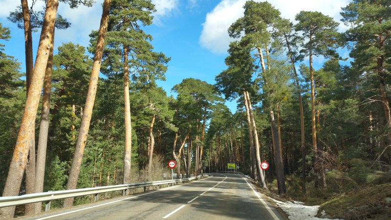 Paseando por España-1991/2016 - Blogs de España - PUERTO DE NAVACERRADA Y COTOS-2006/2009/2013/2016-MADRID (57)