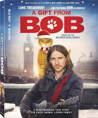Natale con Bob (2020) FULL HD 1080p x264 AC3 ITA DTS+AC3 ENG