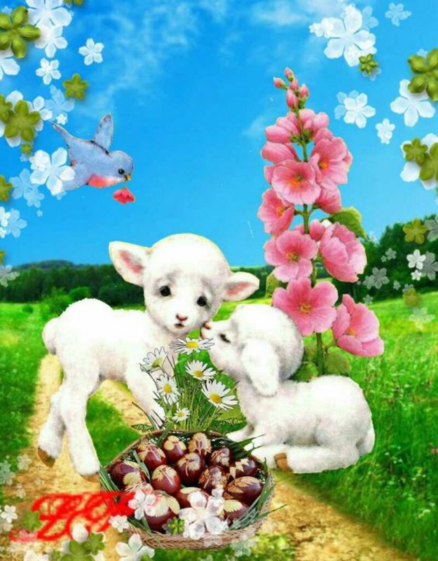 Easter-lambs.jpg
