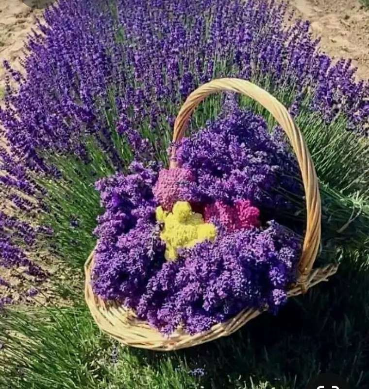 Screenshot_20230409_221526_Pinterest