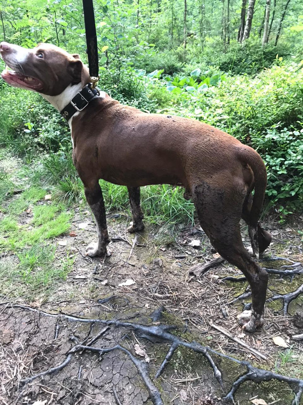 0C47B8E6-0B68-46A0-8017-A54ECB0E6FD3