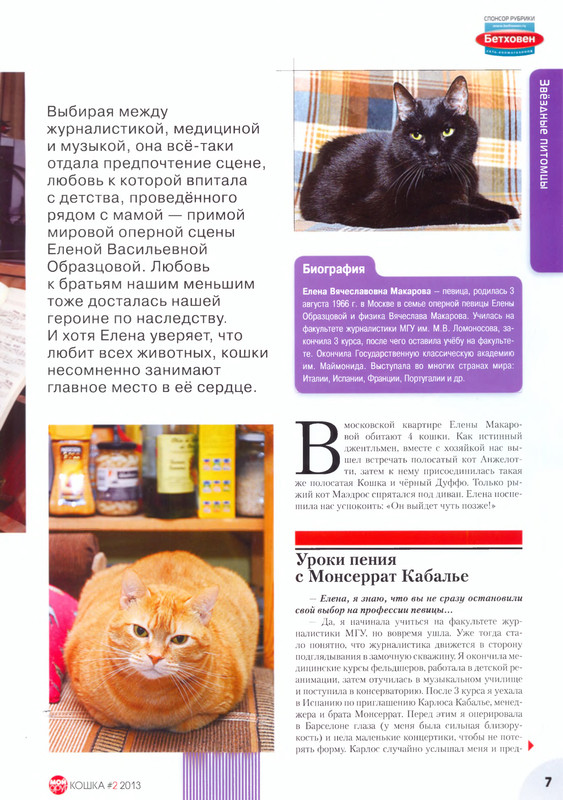 07-Moj-drug-koshka-2013-02