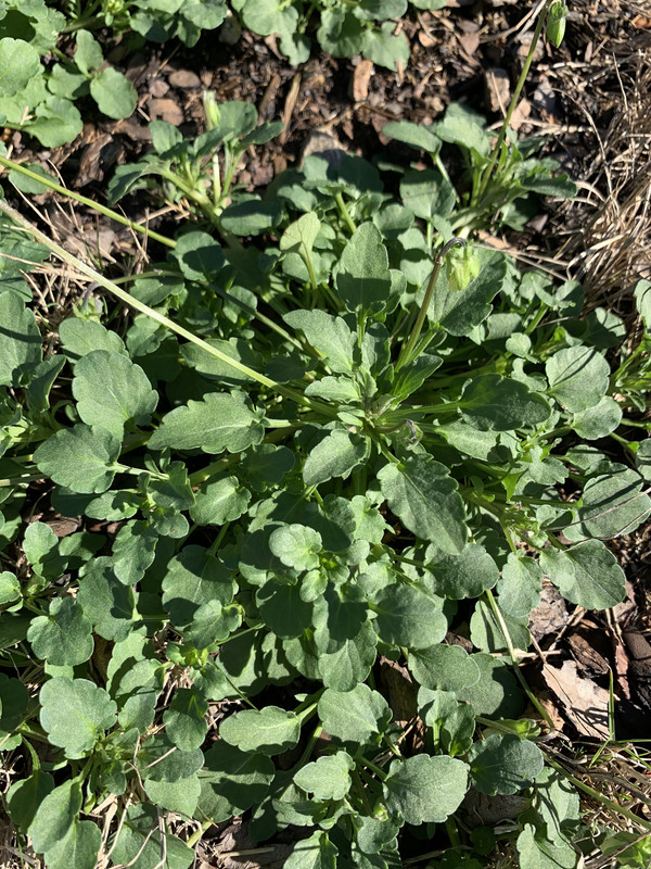 5B053291-63CA-4E19-B878-FDA3F18278EE