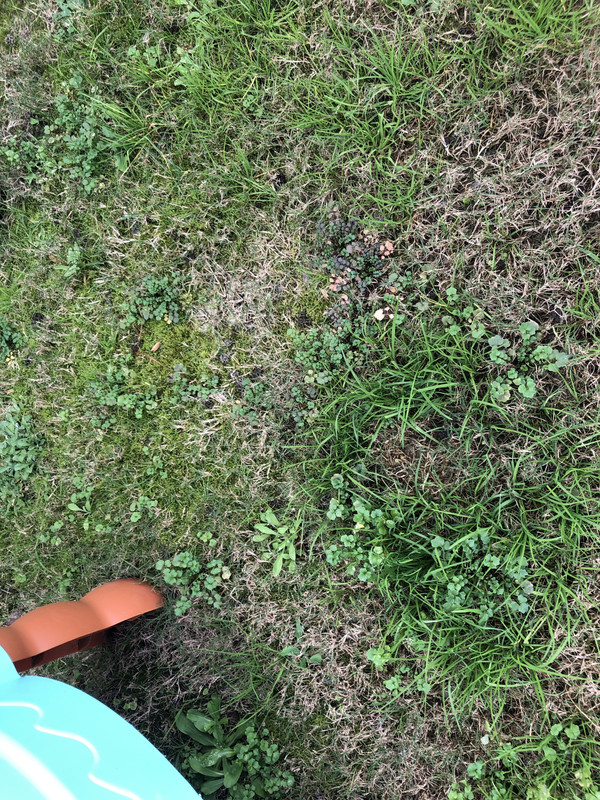 C9429DDA-EA9F-4D24-8D1F-11D94D0C6F69