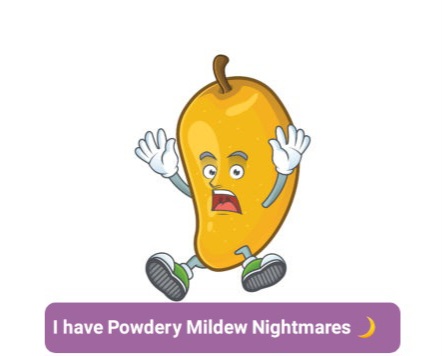 Mango-cartoon-character-style-Graphics-1-105-580x356