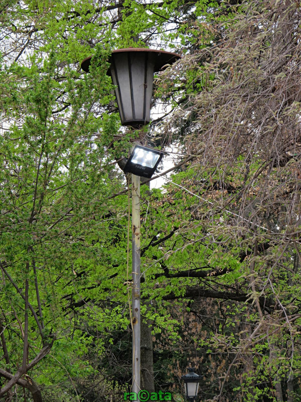 IMG 0240 — Postimages