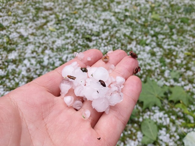 3-F412148-E33-D-45-ED-A8-E1-C411-ECF6267