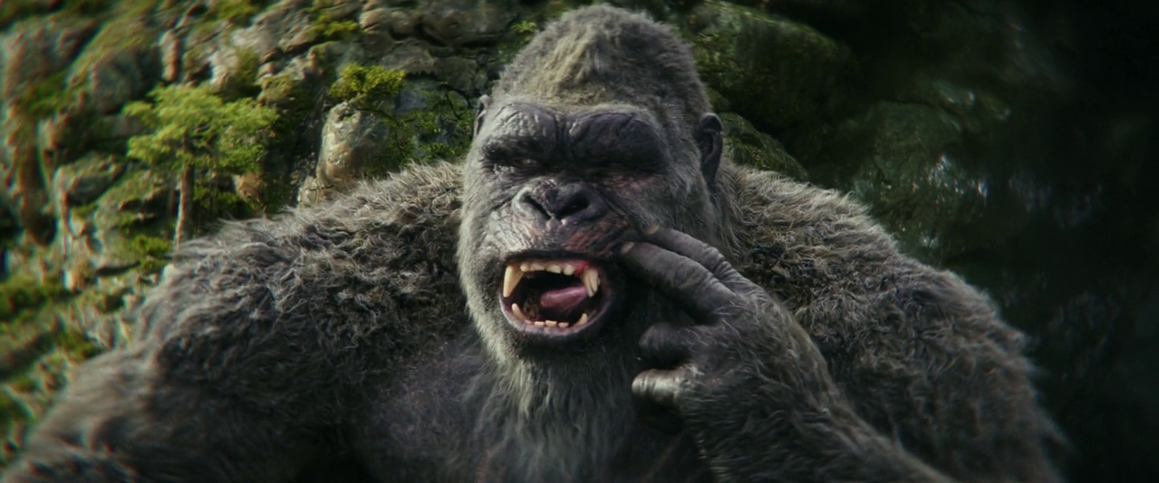 vlcsnap 2025 12 11 19h15m36s910