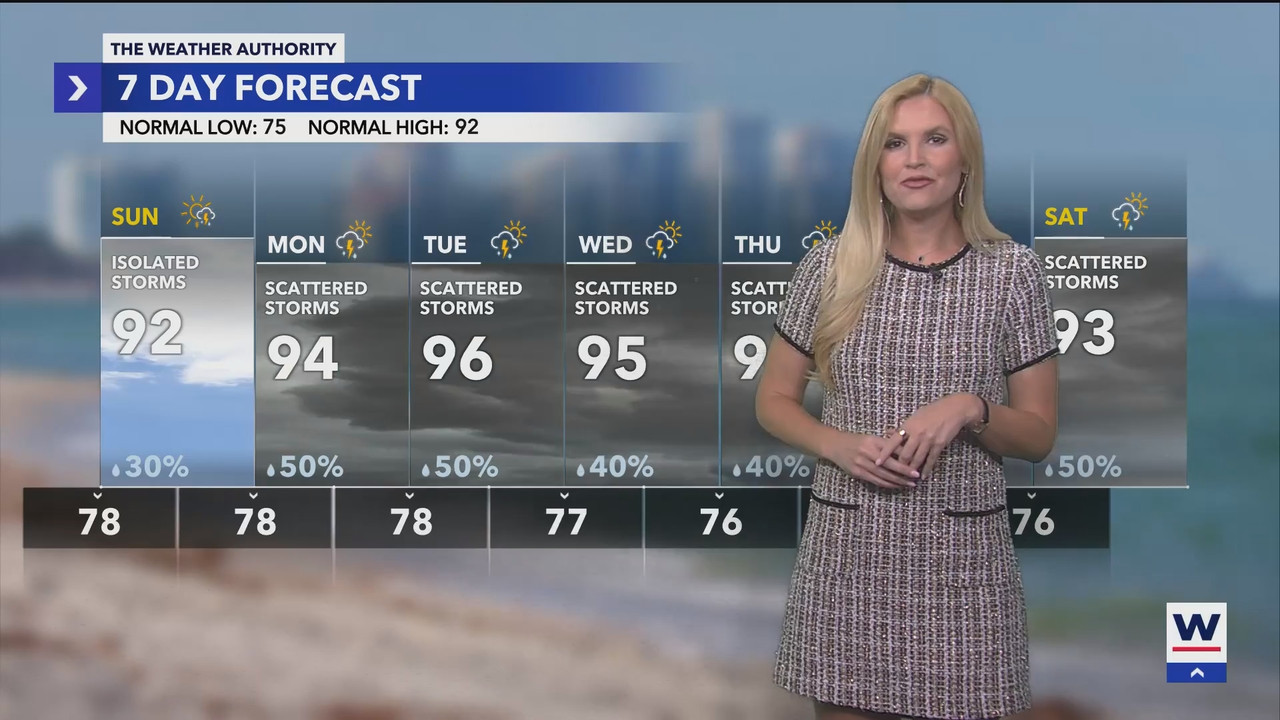 WINK News at 11_20250803_04000500.ts_snapshot_00.17.06.165