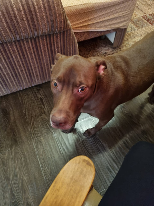 CDA1A0EC-2BD4-4707-8C25-0E489134E46B