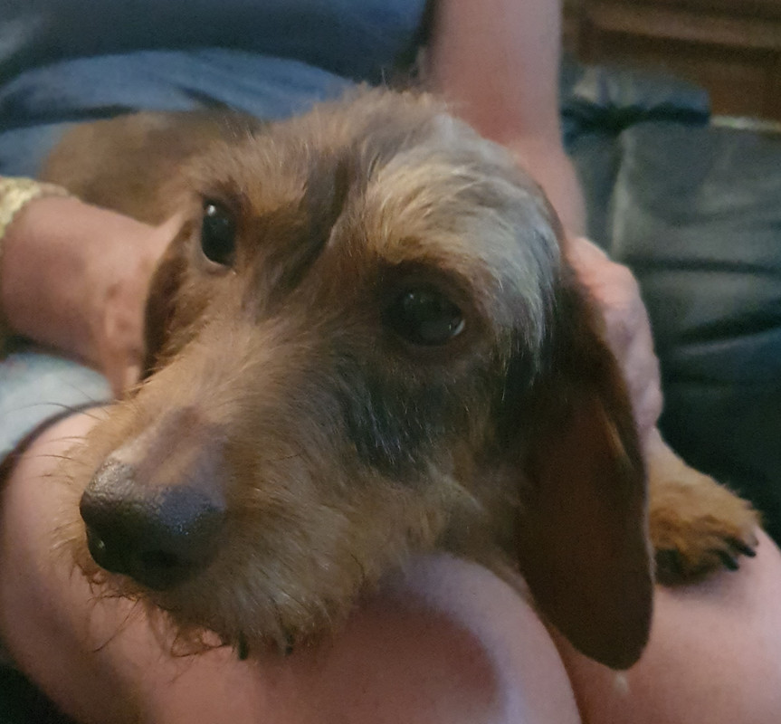 [Image: 20220716-170429.jpg]