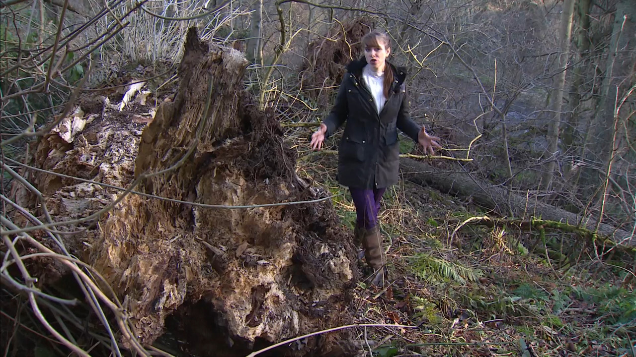 12.16 - 18.00.00 - ITV News London. The latest news in London and the....ts_snapshot_27.41.136