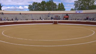 E357-TOROS-TM20250503-171617.jpg