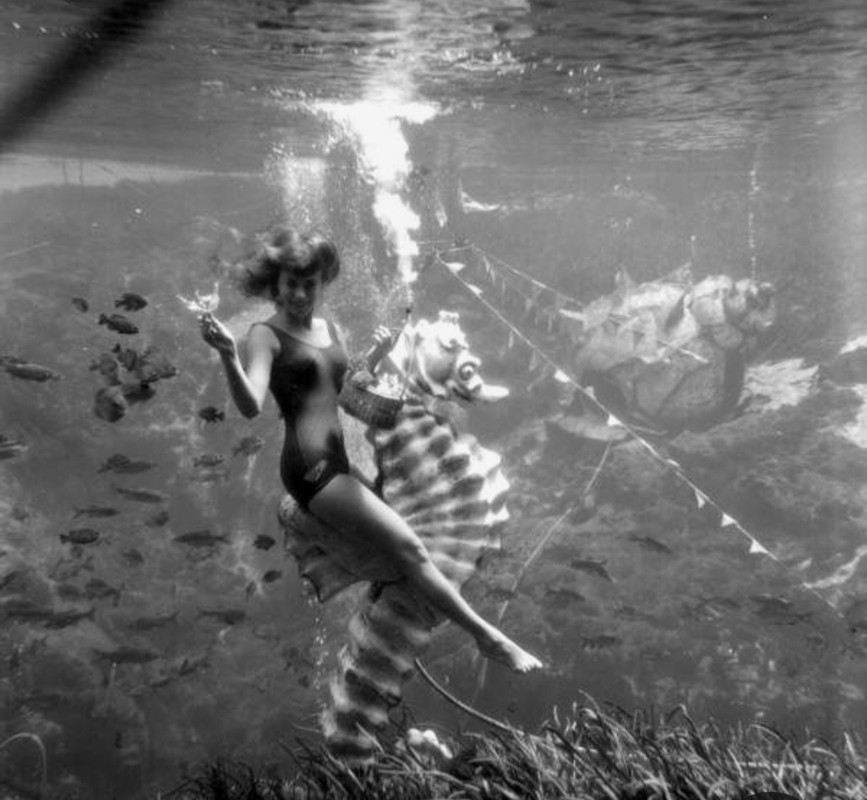 Screenshot_20230304_235947_Pinterest